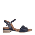 AVEN - NAVY
