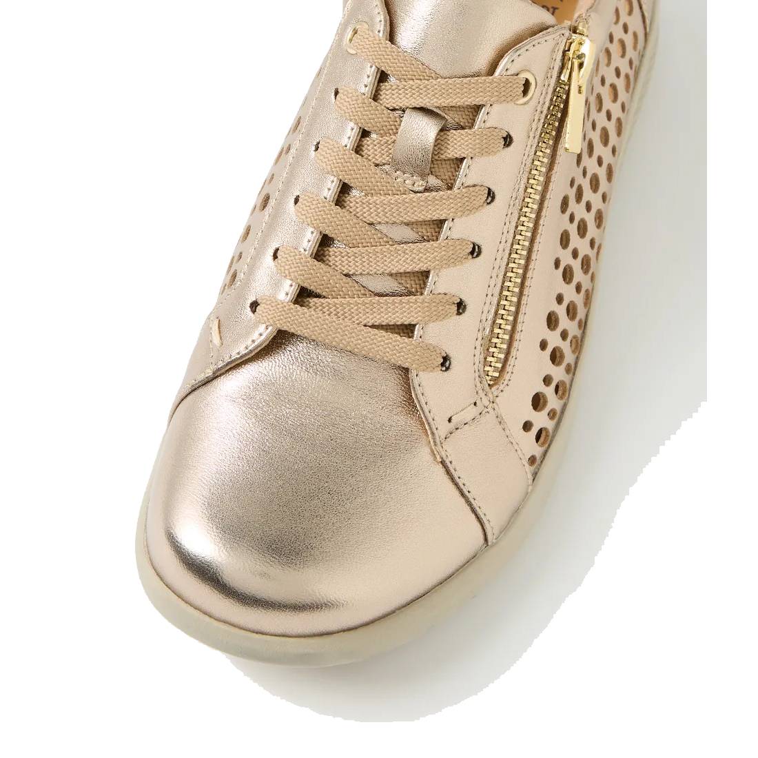 Ziera shovo champagne womens lace up