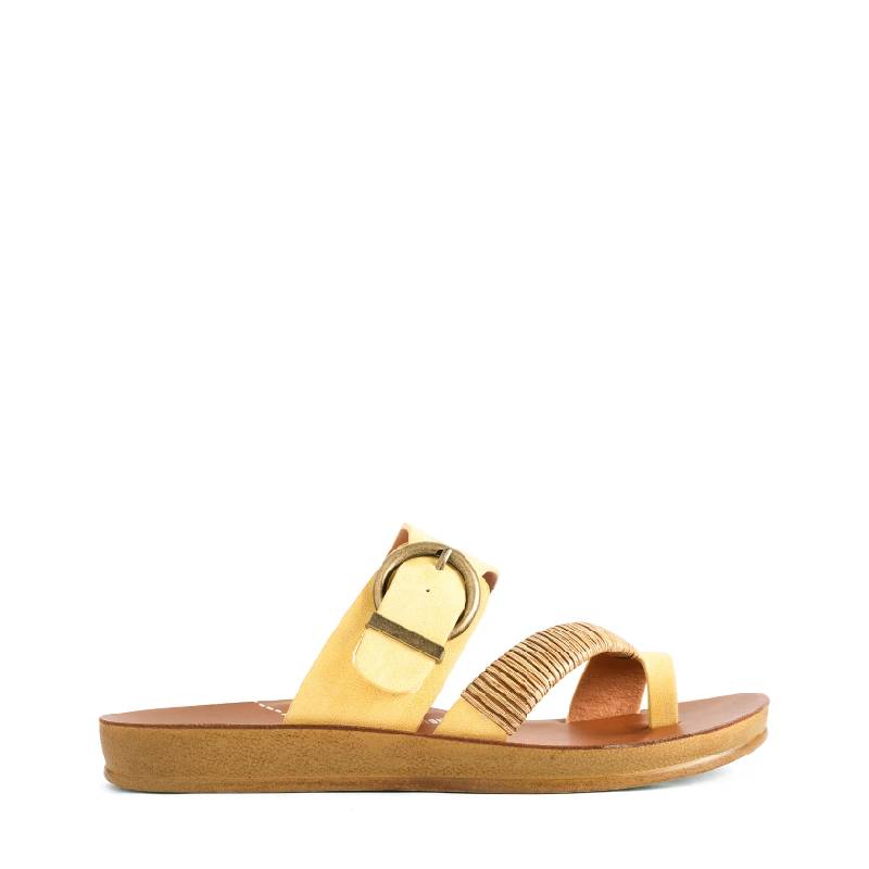 los Cabos bria sunset slide