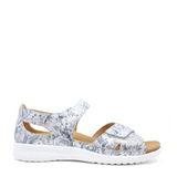 ziera bronn silver fireworks