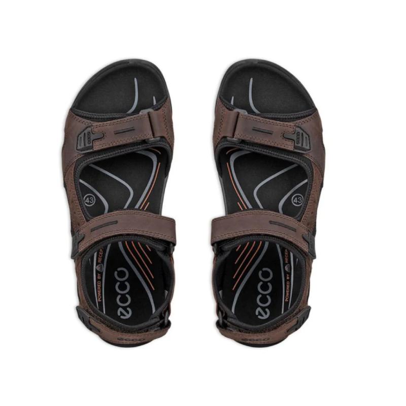 Ecco Offroad Mocha mens sandal