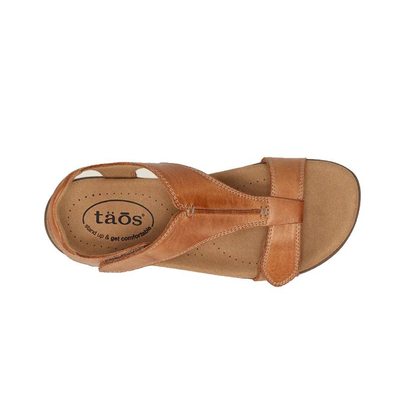 Taos the Show caramel